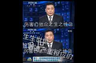 央视娱乐直播,精彩瞬间回顾，带你领略明星风采