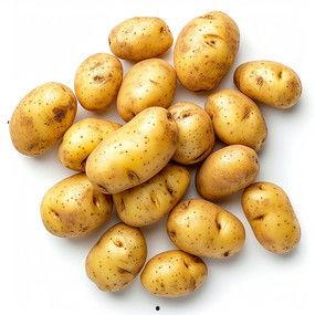 关于土豆资料,营养丰富的地下宝藏与美食之源