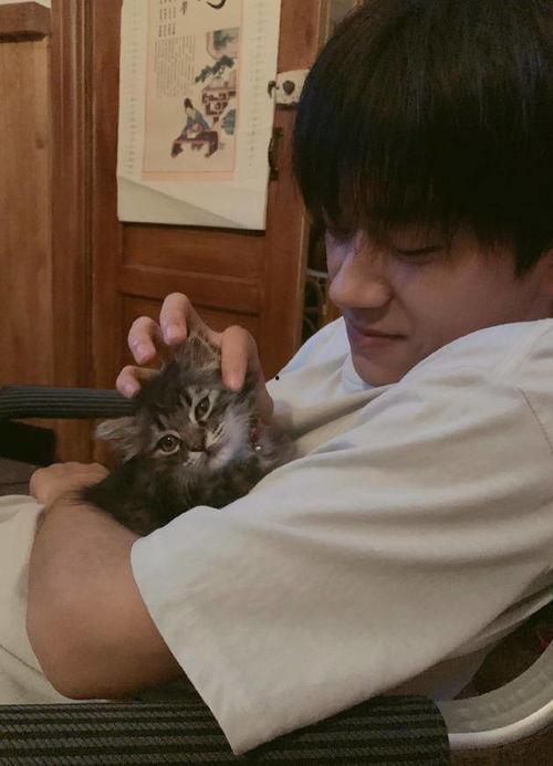 易烊千玺抱猫的照片,尽显暖男魅力